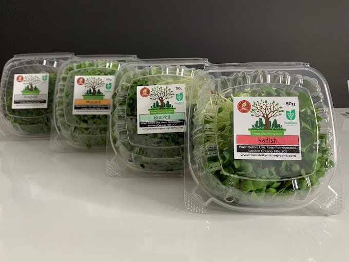 Forest City Microgreens - The Market at the Western Fair District | The ...